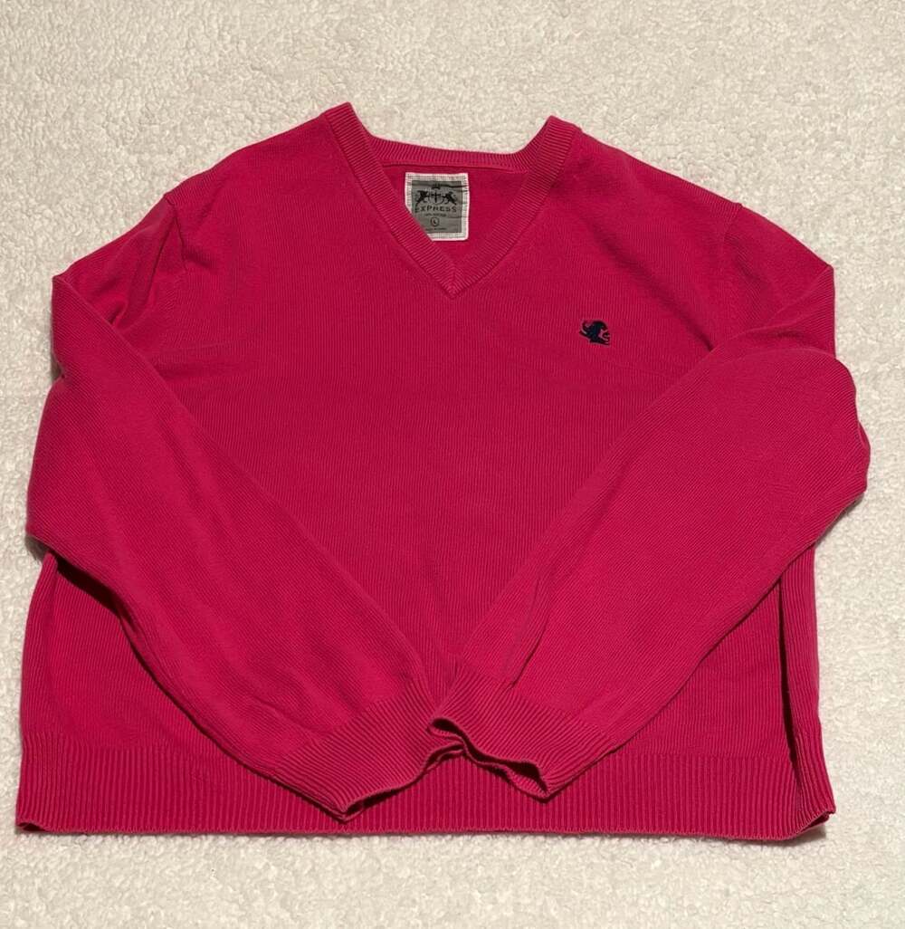 Express Pink 100% Cotton V-Neck Sweater with Lion Logo Size Large